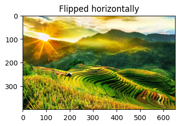 OpenCV & NumPy Simple Image Processing — AI Learning Labs
